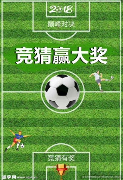 未来愿景与发展方向